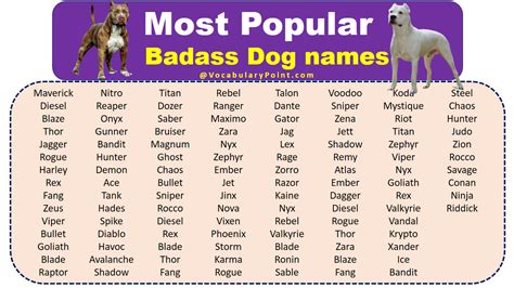 baddie dog|150 of the Most Badass Dog Names Youve Ever。